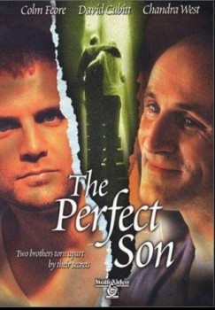 poster The Perfect Son&nbsp;&nbsp;(2000)