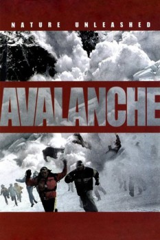 poster Nature Unleashed:  Avalanche&nbsp;&nbsp;(2004)