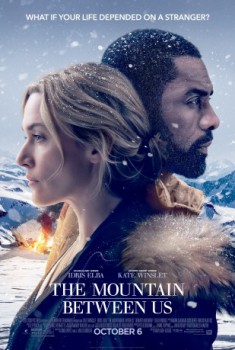 poster The Mountain Between Us&nbsp;&nbsp;(2017)