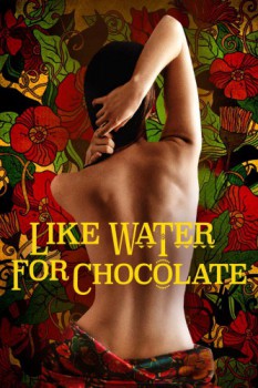 poster Like Water for Chocolate&nbsp;&nbsp;(1992)
