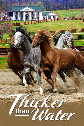 poster Thicker Than Water