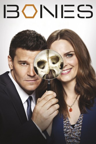 poster Bones - Season 02